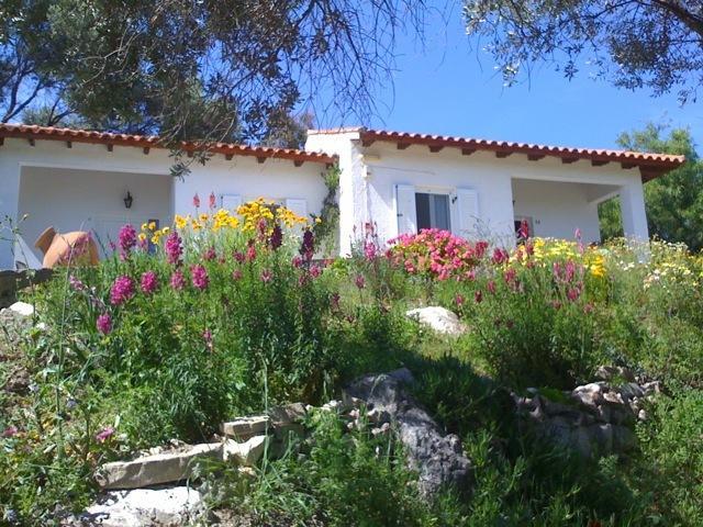 Elena Bungalows 3* Pythagoreio (Samos)