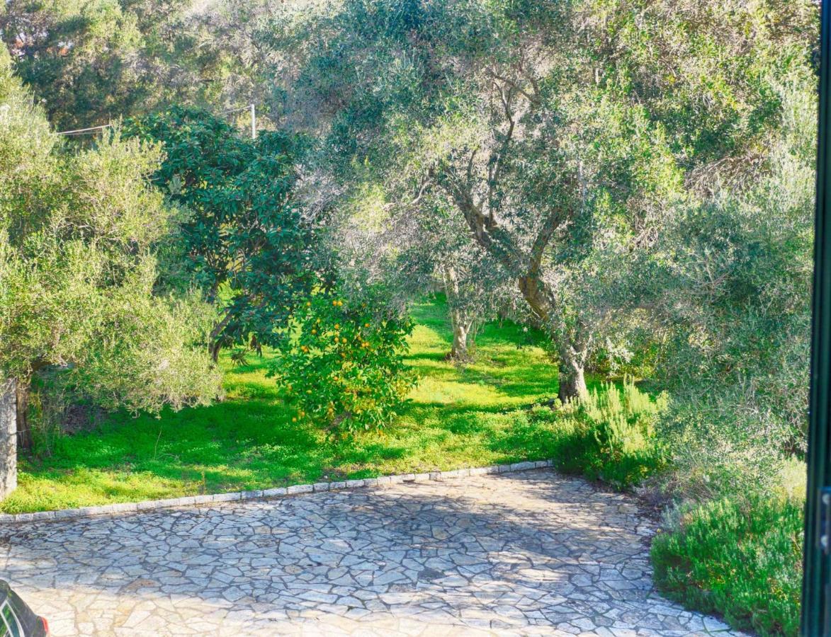 Villa - 3 Minutes From The With Heated Eco-pool And Sunset View