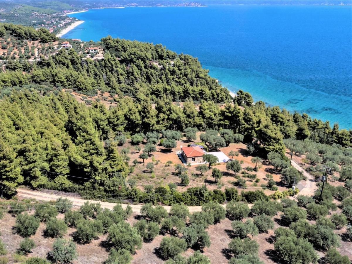 The Ideal Secluded Retreat