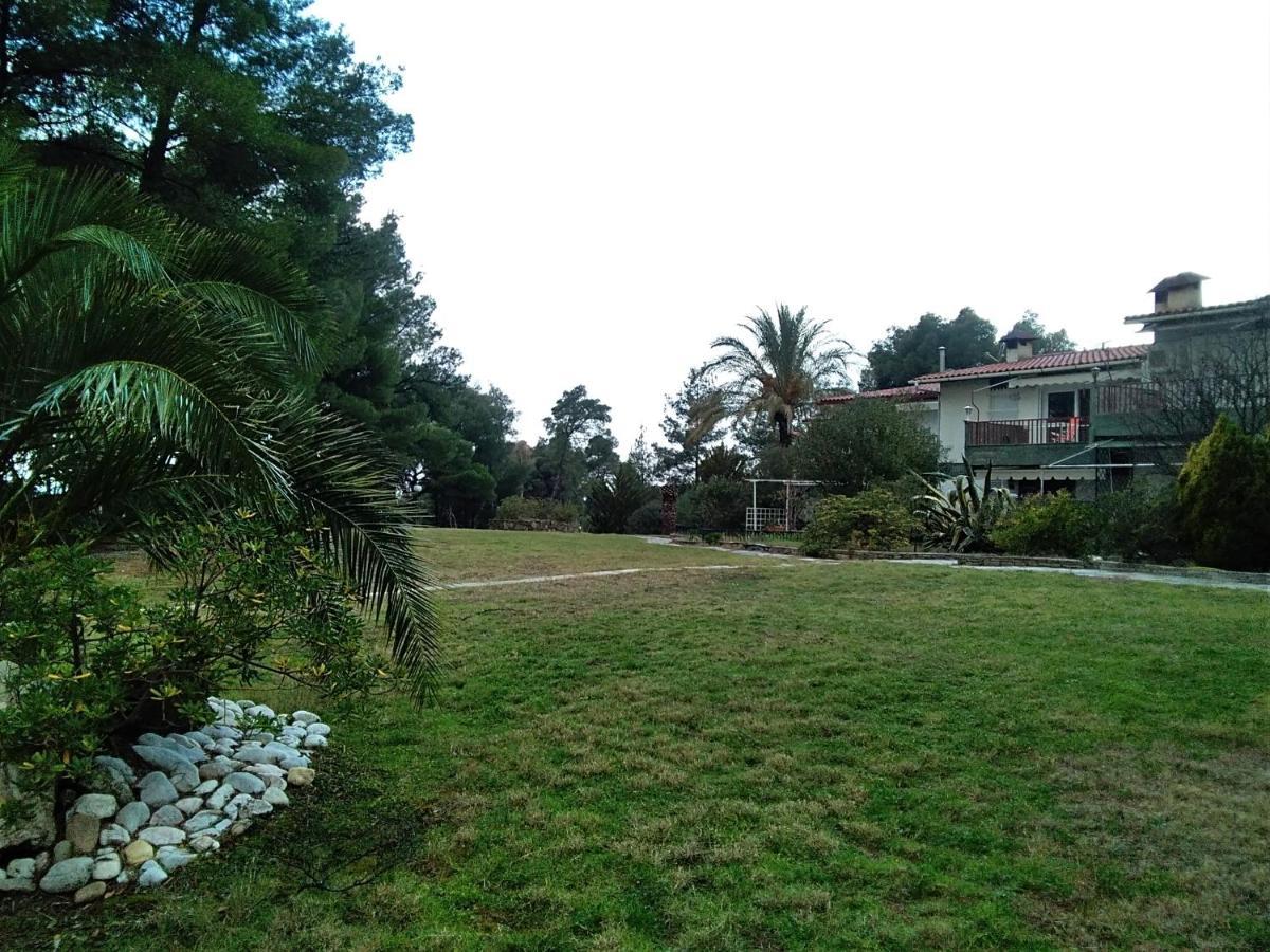Skiourakia Apartment Metamorfosi (Sithonia)