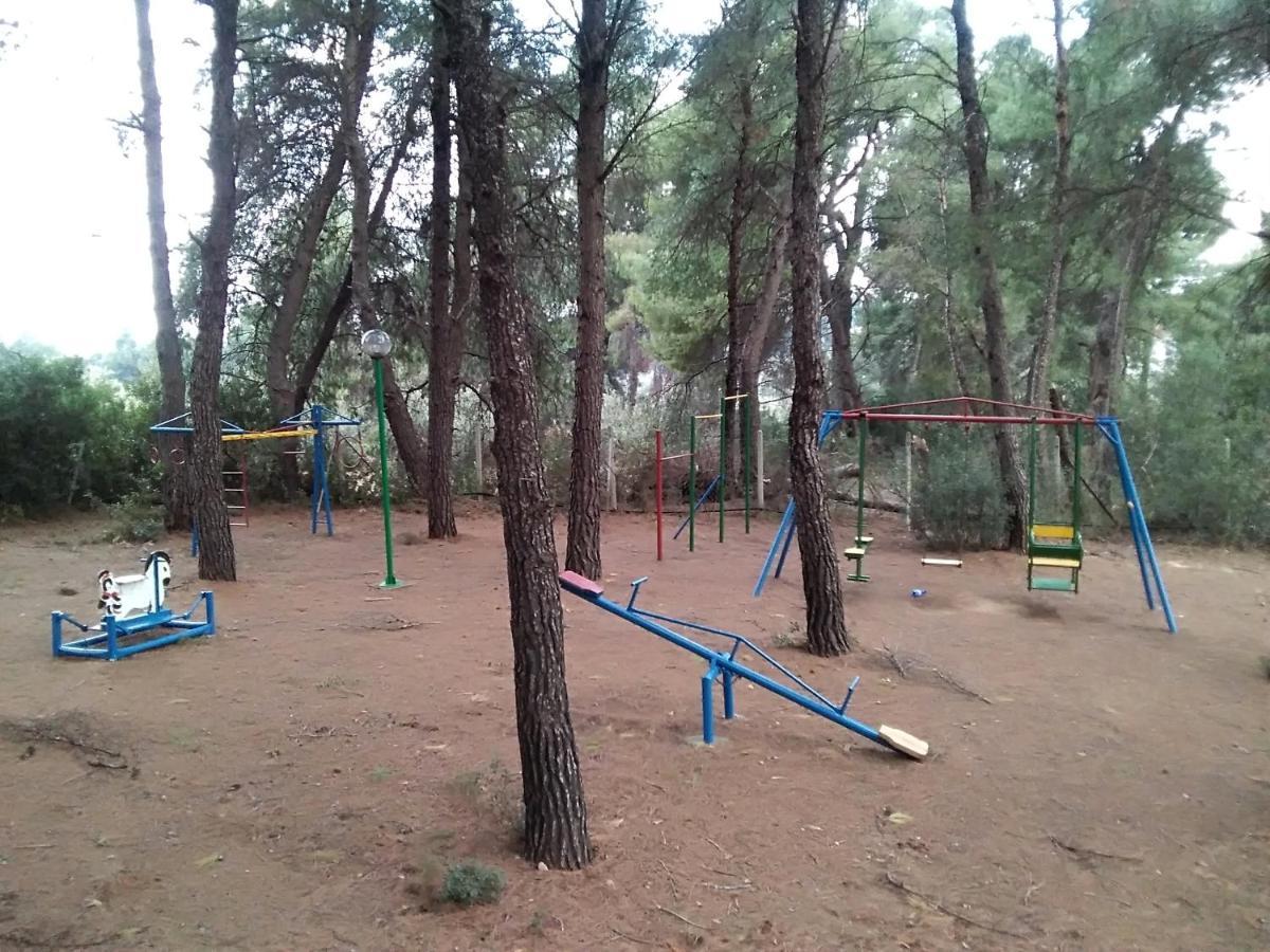 Skiourakia Apartment Metamorfosi (Sithonia)