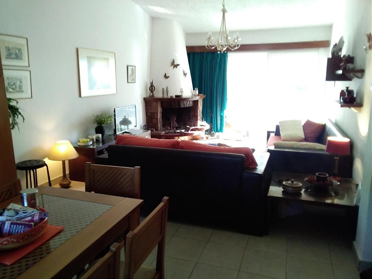 Apartment Skiourakia *