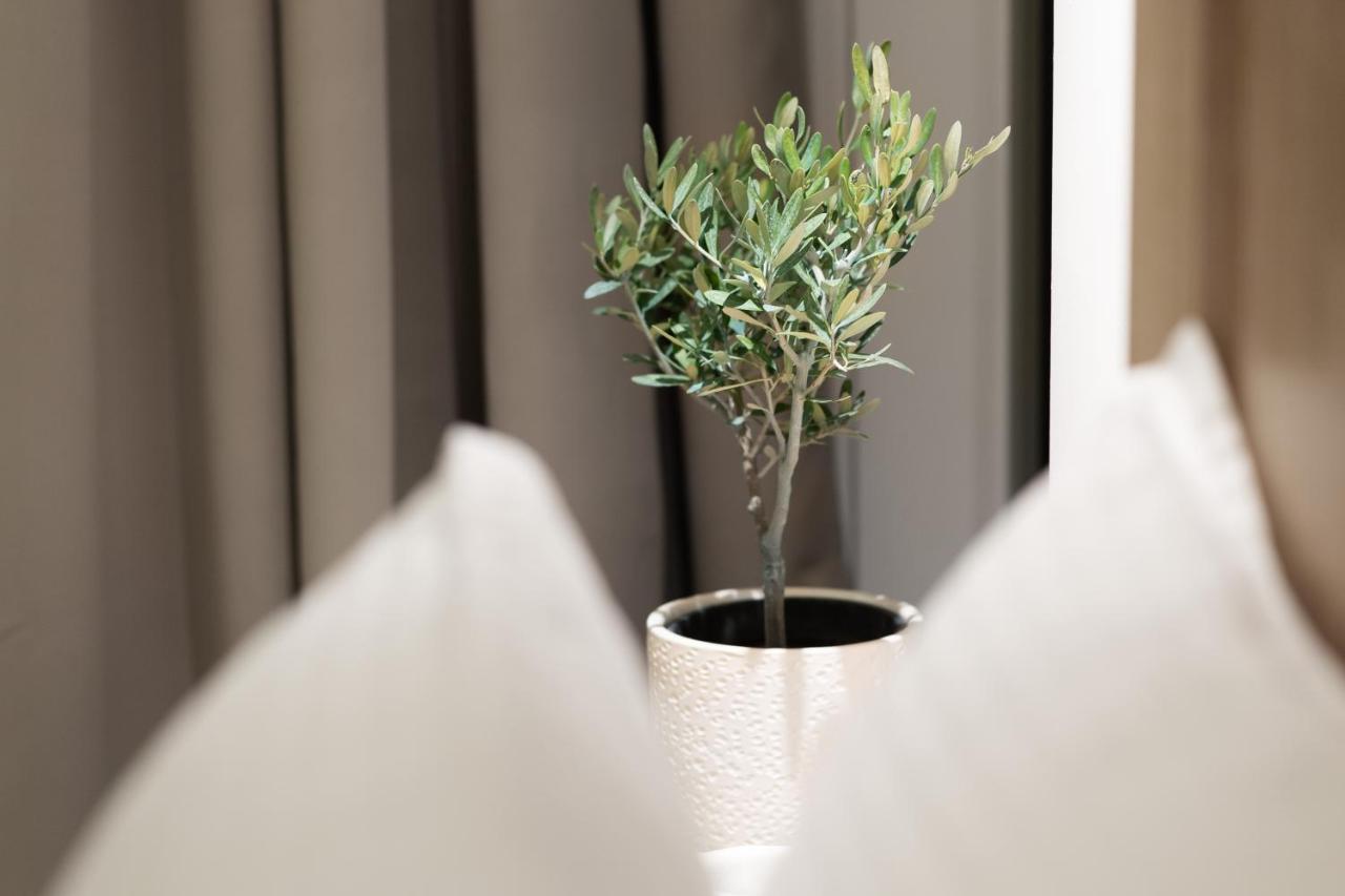 Cavo Delea & Apartment