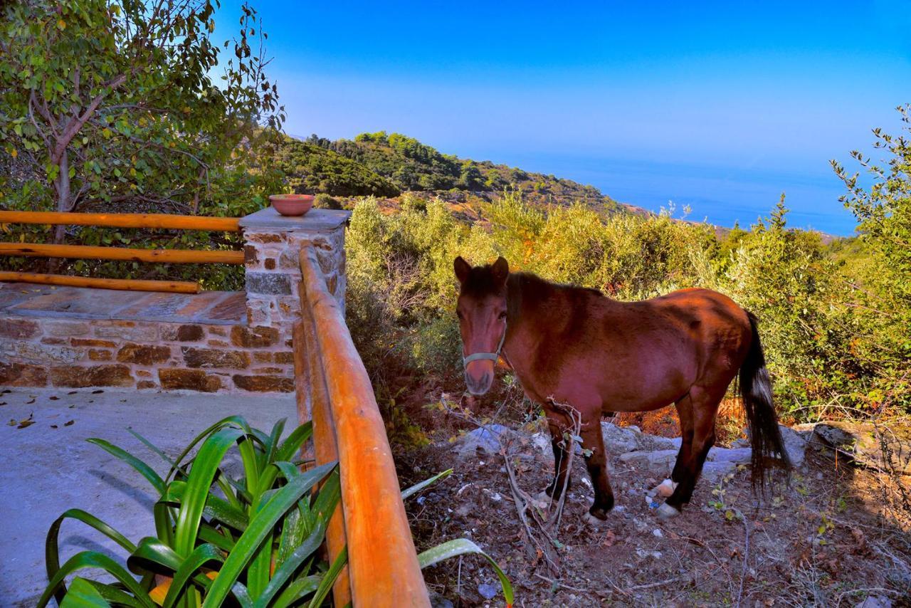 House In εndless - Arethousa, Ikaria Holiday home