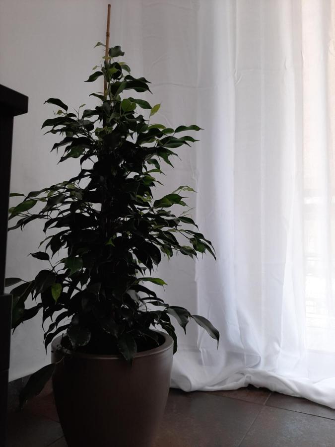 Glyfada Vacation Apt *