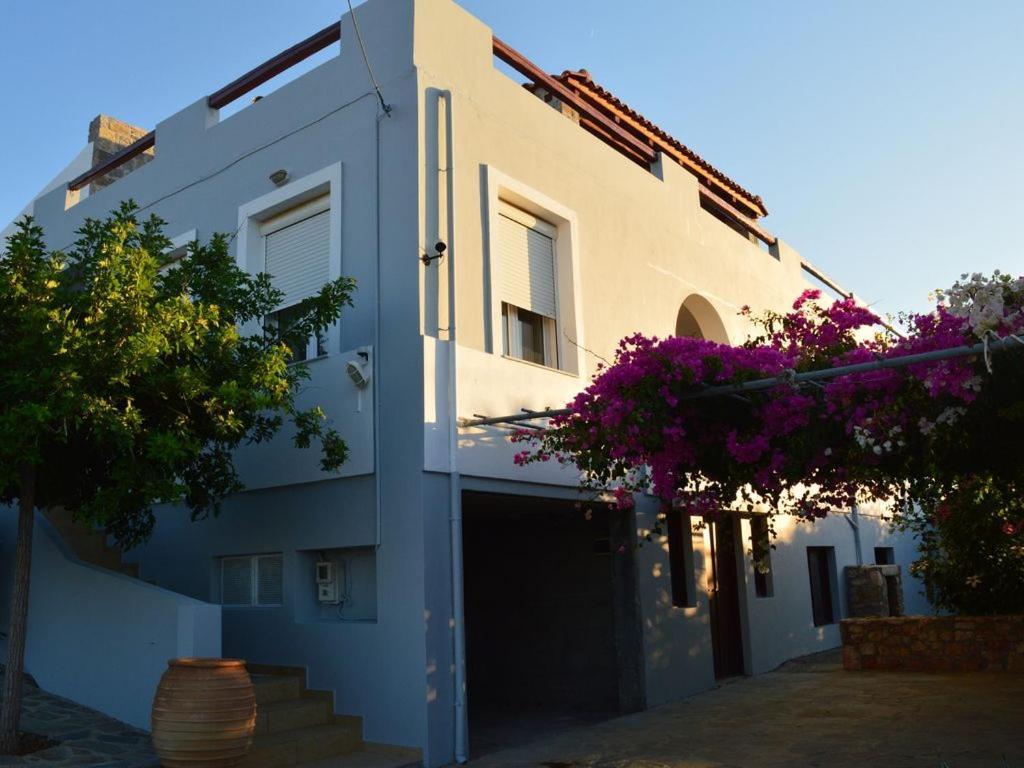 United Blue - White Villa *