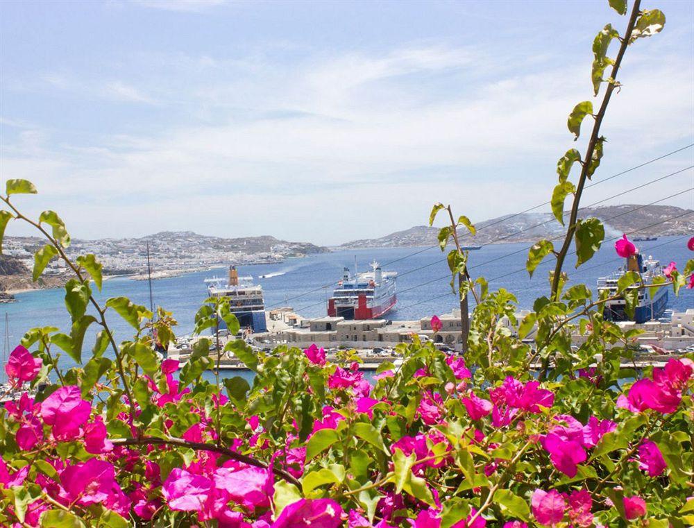 Paradision 4* Mykonos Town