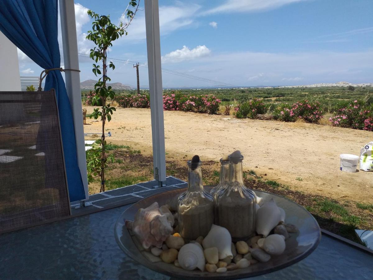 Naxian Vacation With Sea View