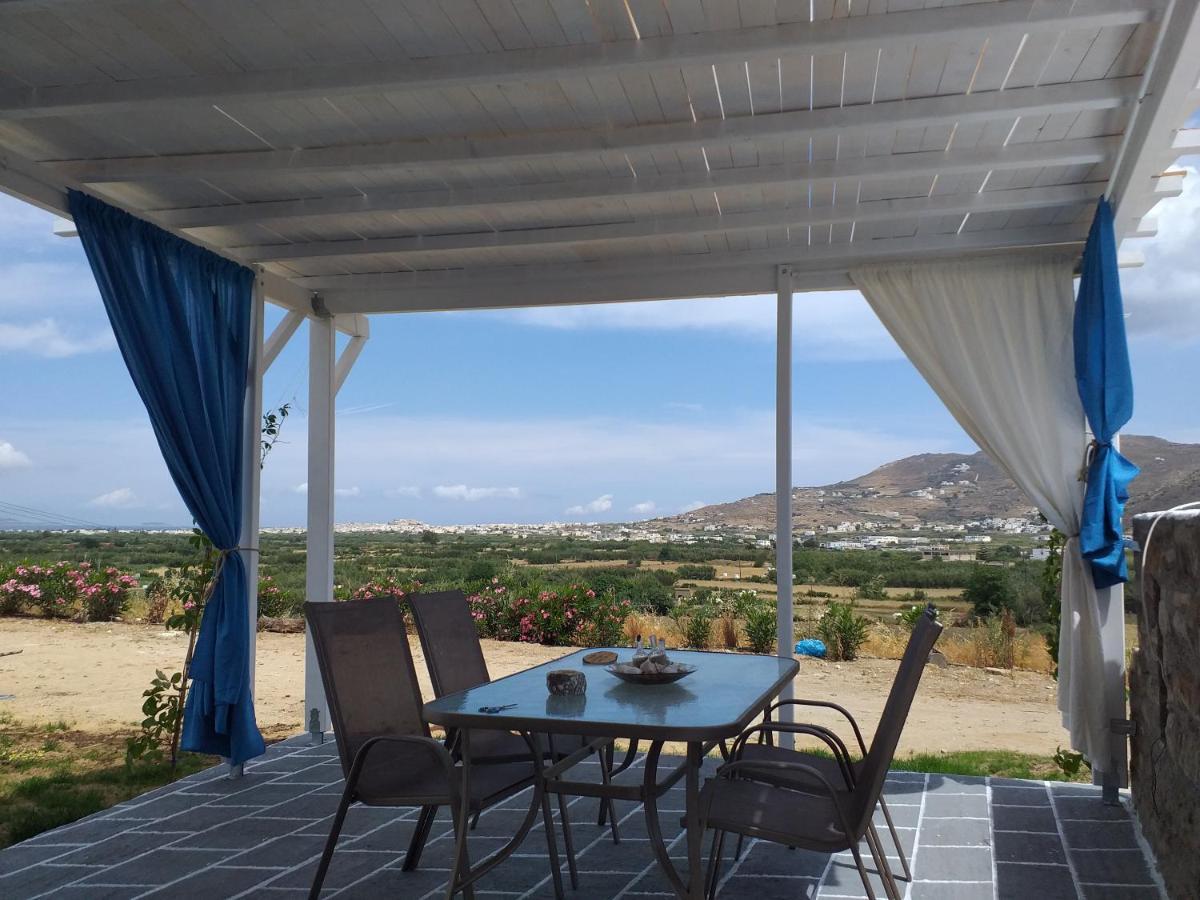 Naxian Vacation With Sea View *