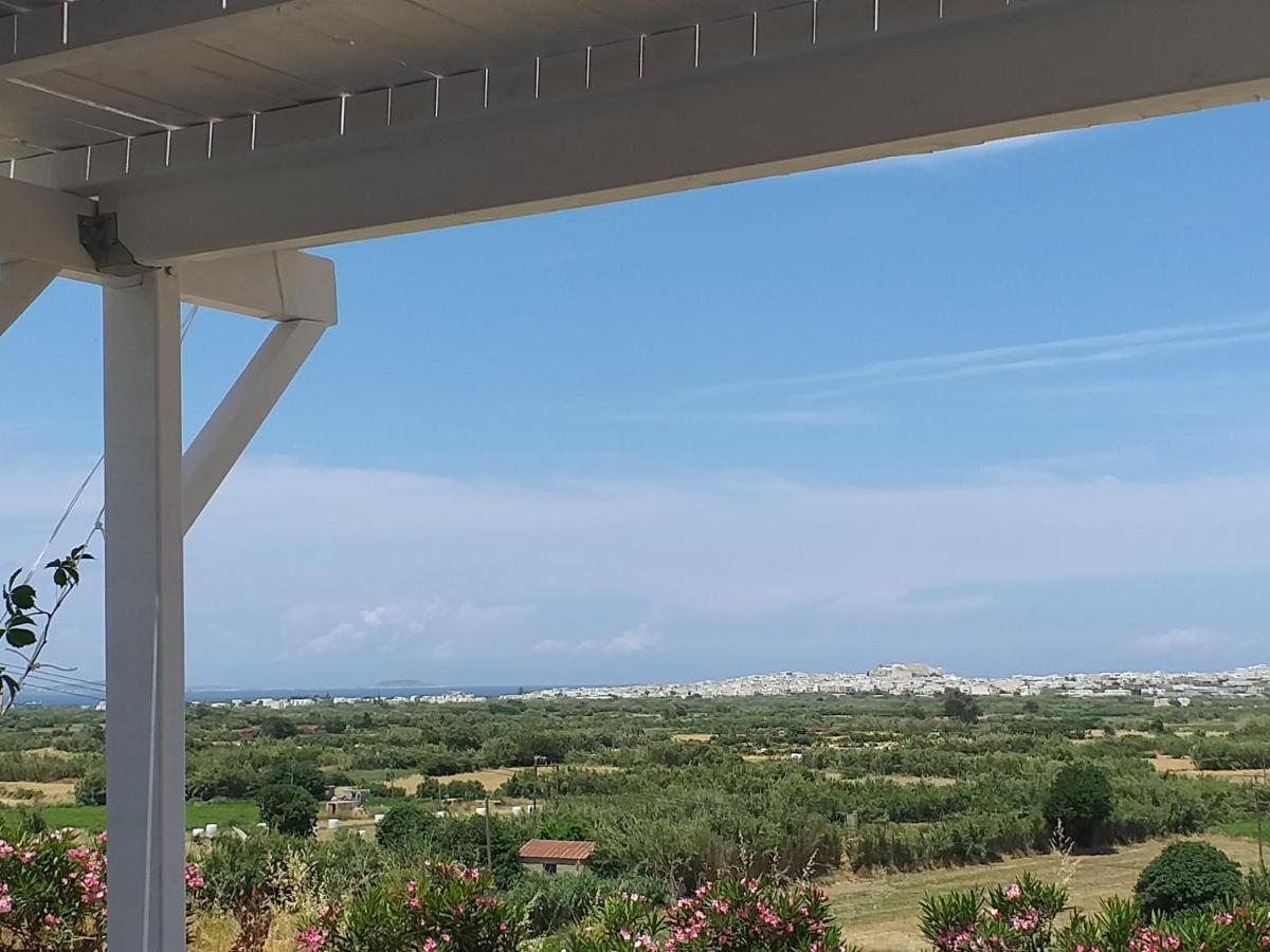 Naxian Vacation With Sea View Holiday home *