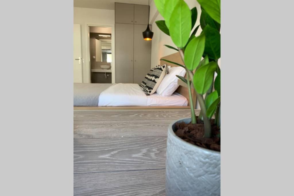 Aelia Luxury House *