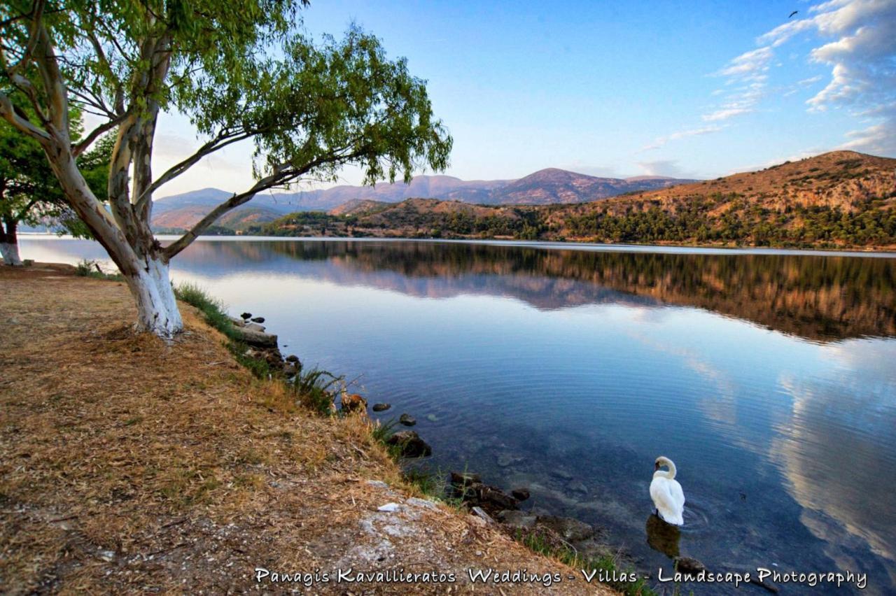 Faidra Superb Sea View In Argostoli (Kefalonia)