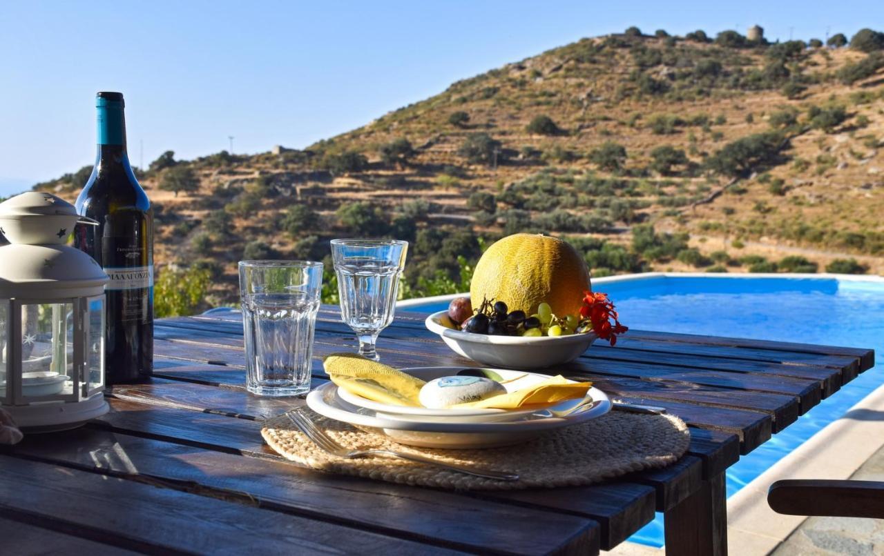 Family House With A Swimming Pool 5 Minutes From Ioulida