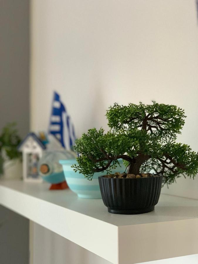 Lucas Lux Apartment