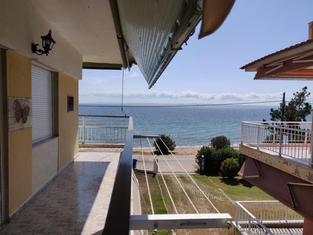 Entire 50m From Sea - Spiros Apartment *