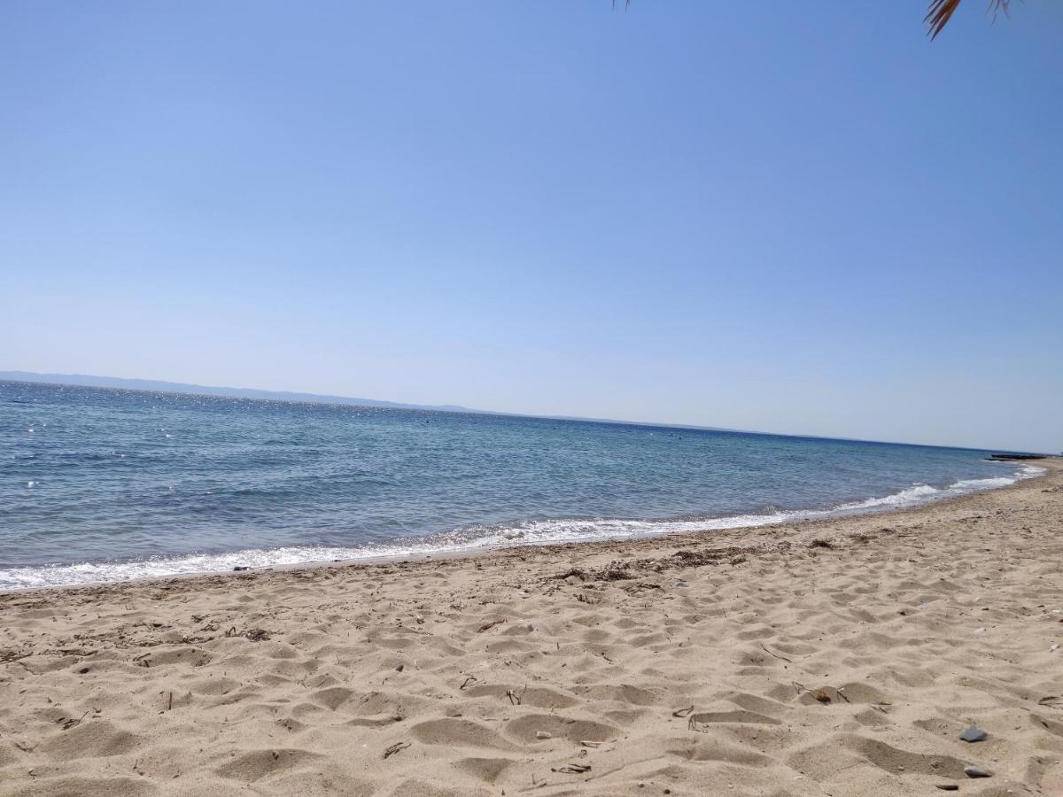 Apartment Entire 50m From Sea - Spiros Metamorfosi (Sithonia)