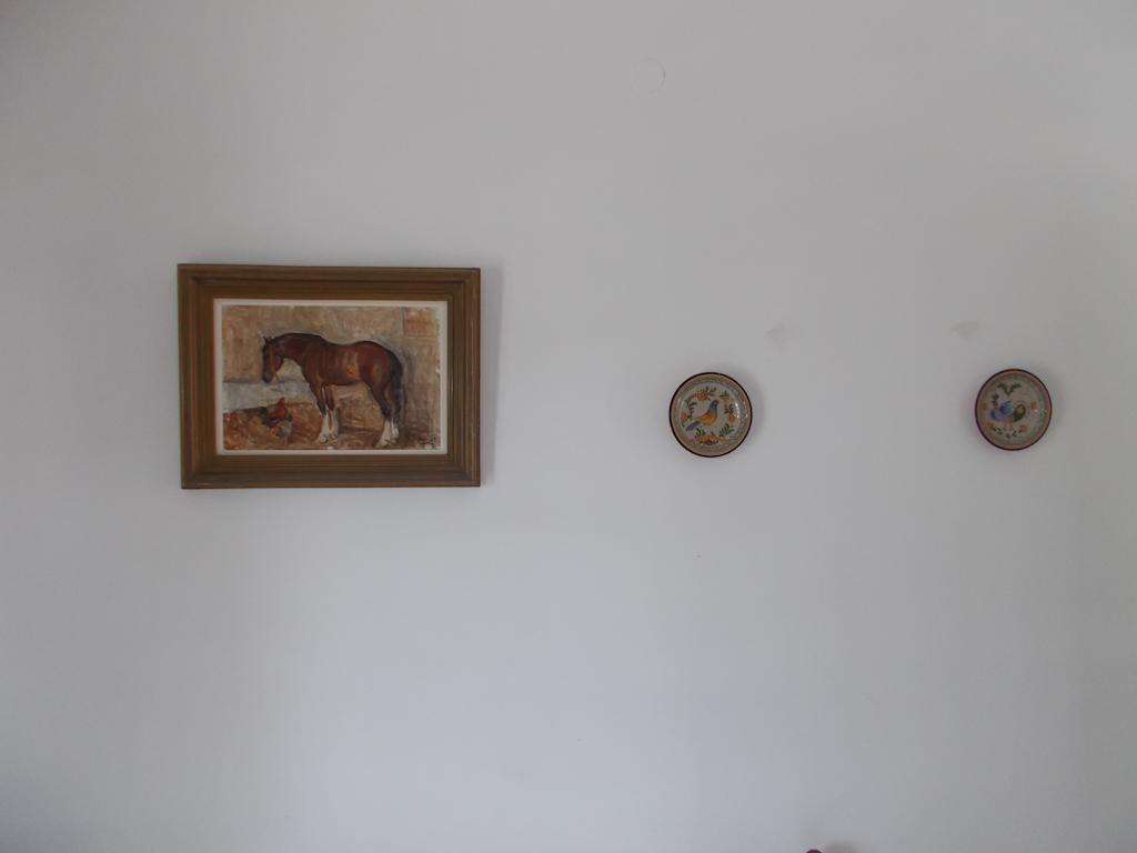 Apartment Celana