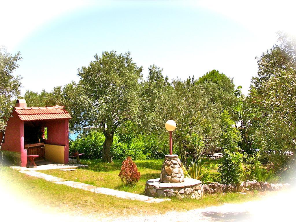 Kyra's Paradise Potistika