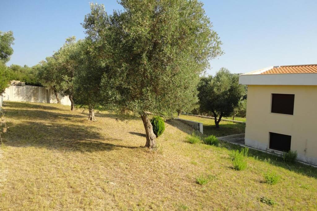 Maria χαλκιδικής σπίτι με θέα *