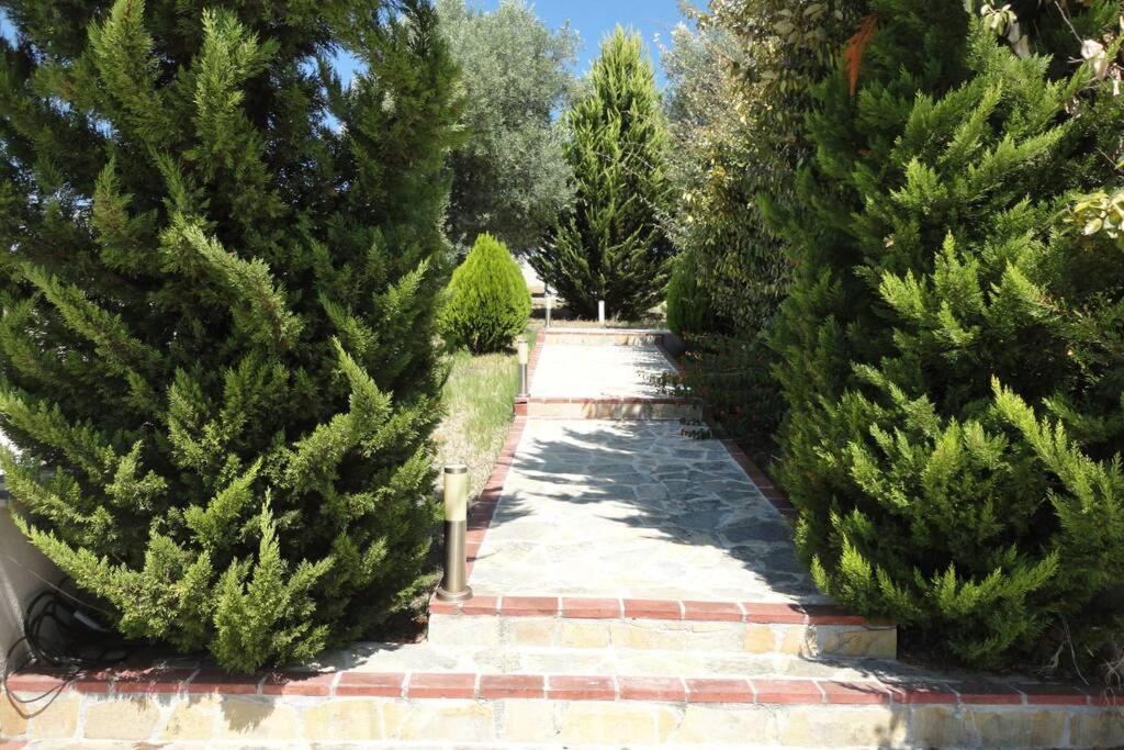 Maria χαλκιδικής σπίτι με θέα Villa *