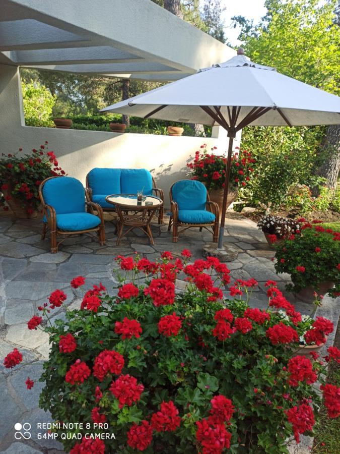Sani Maria * Sani (Chalkidiki)