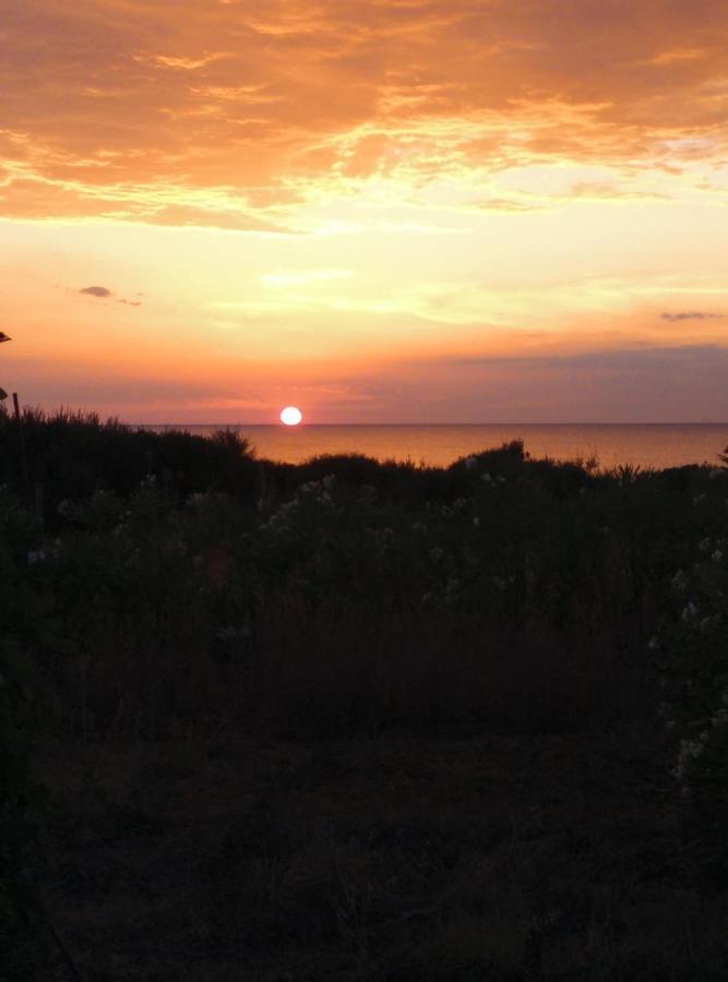 Tzanetos Seaside