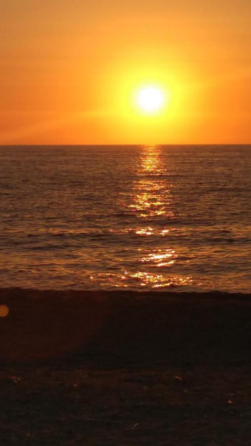 Tzanetos Seaside *