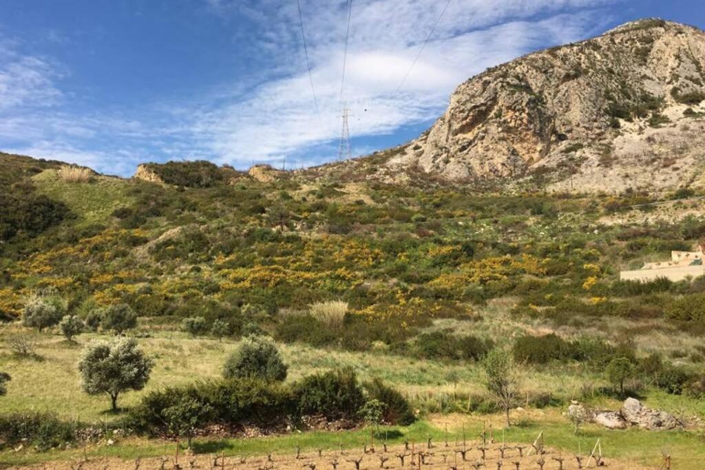 Rodanthy I * Katelios