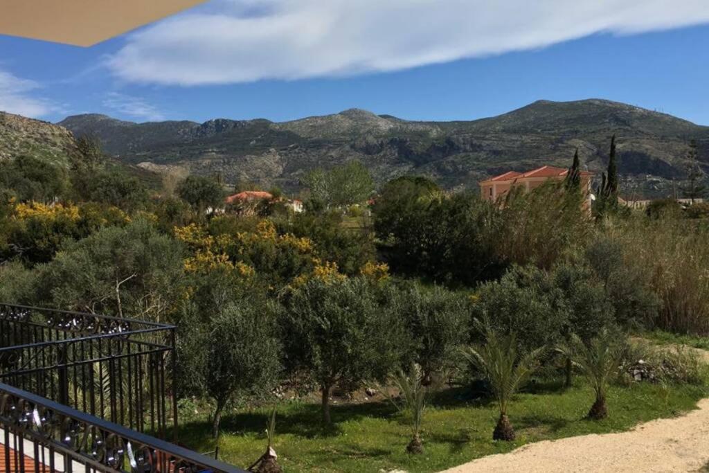 Apartment Rodanthy I Katelios