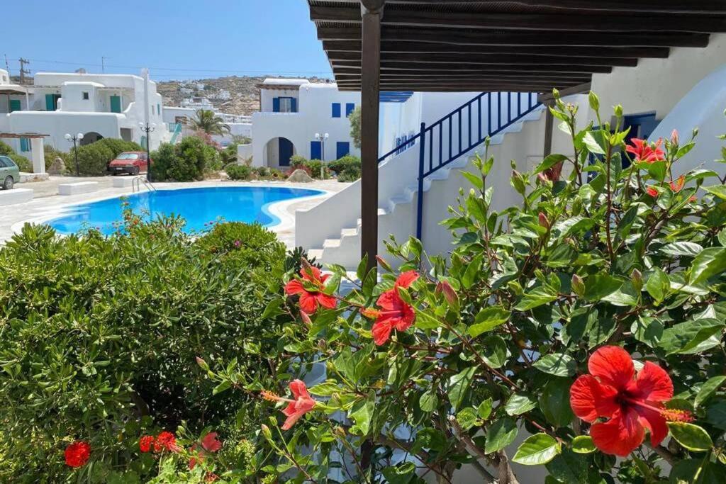 Holiday home Pigeon House Ornos Mykonos Town