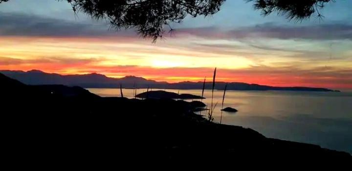 Epavlis Mirsini (Crete)