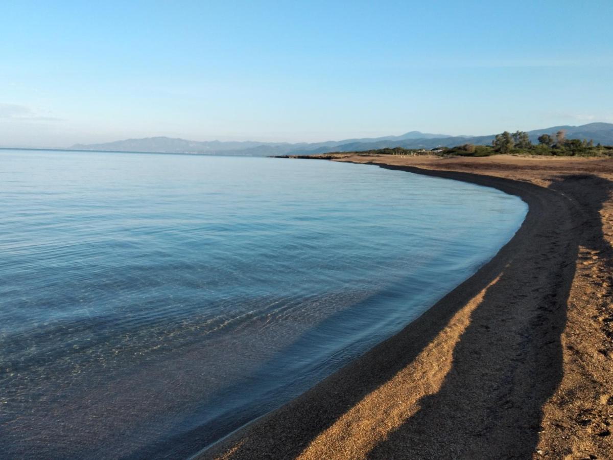 Tzanetos Seaside
