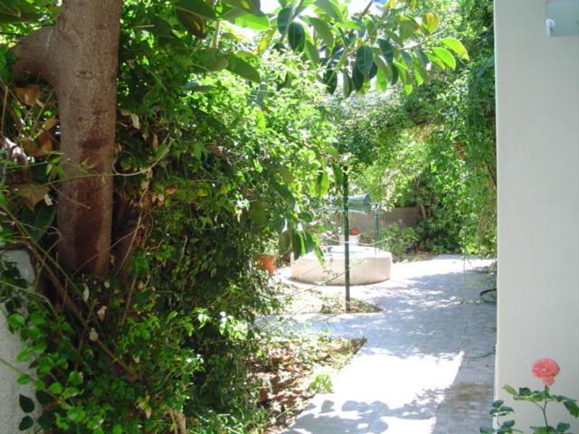Kiveli Apartment