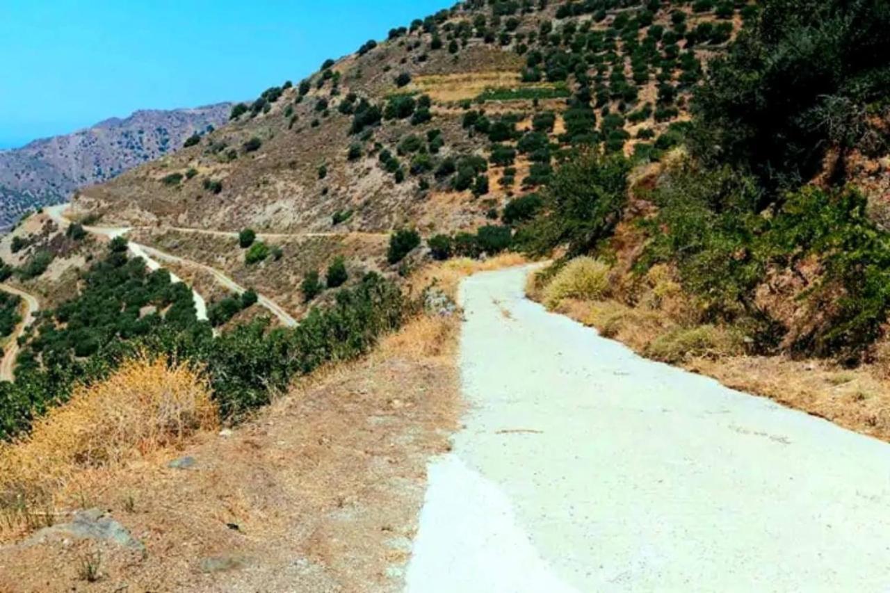 Epavlis Mirsini (Crete)