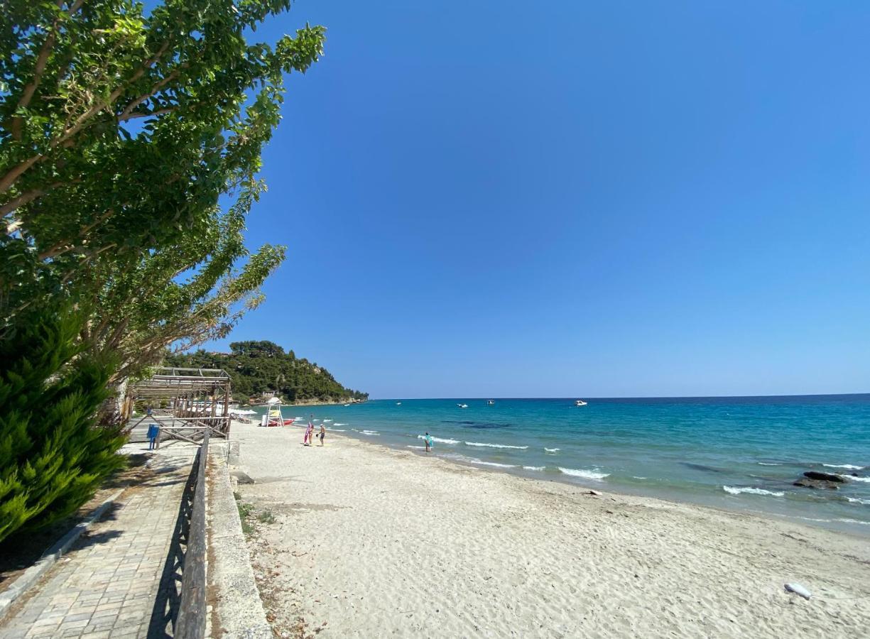Posidi Studios Possidi