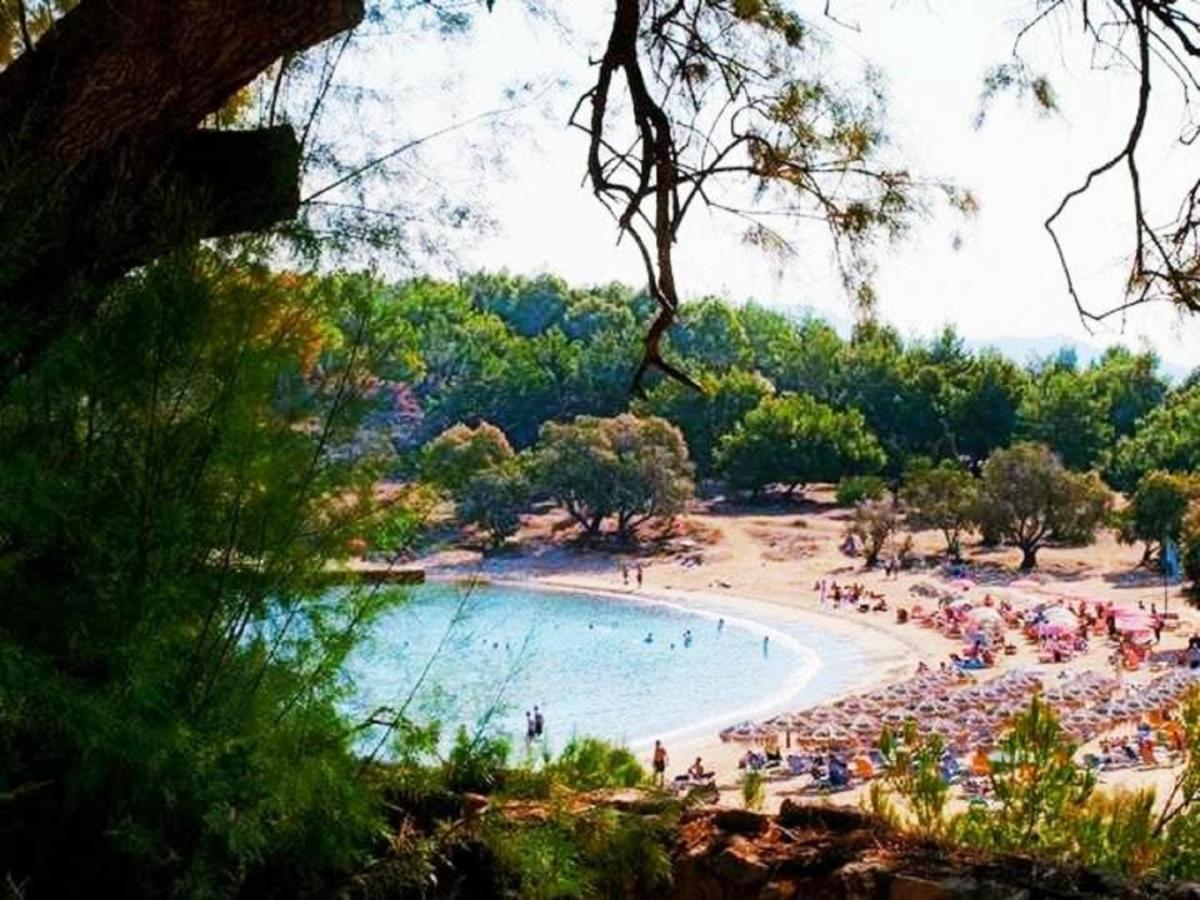 Rena's Hospitality Walk To The Beach,10min To Chania!