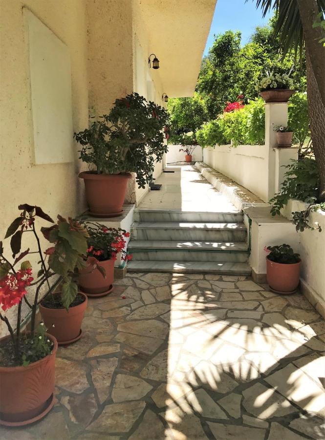 Aliki Studios Apartment *