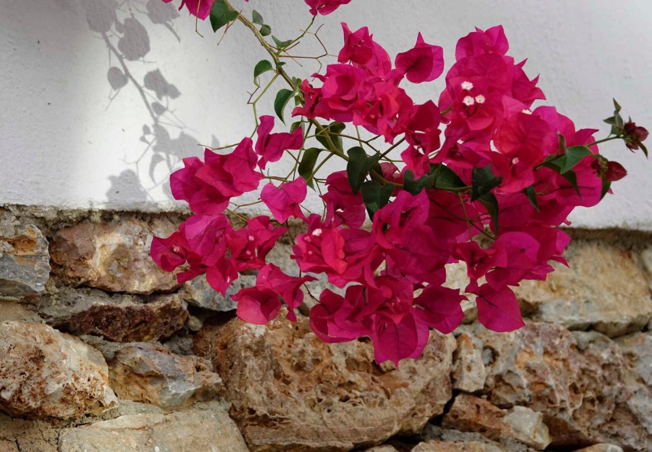 Meltemi Folegandros Town