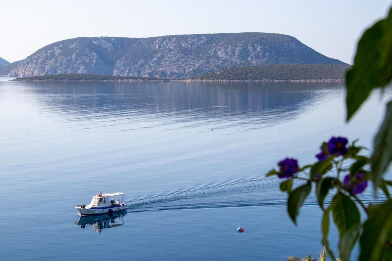 Grand Bleu & *