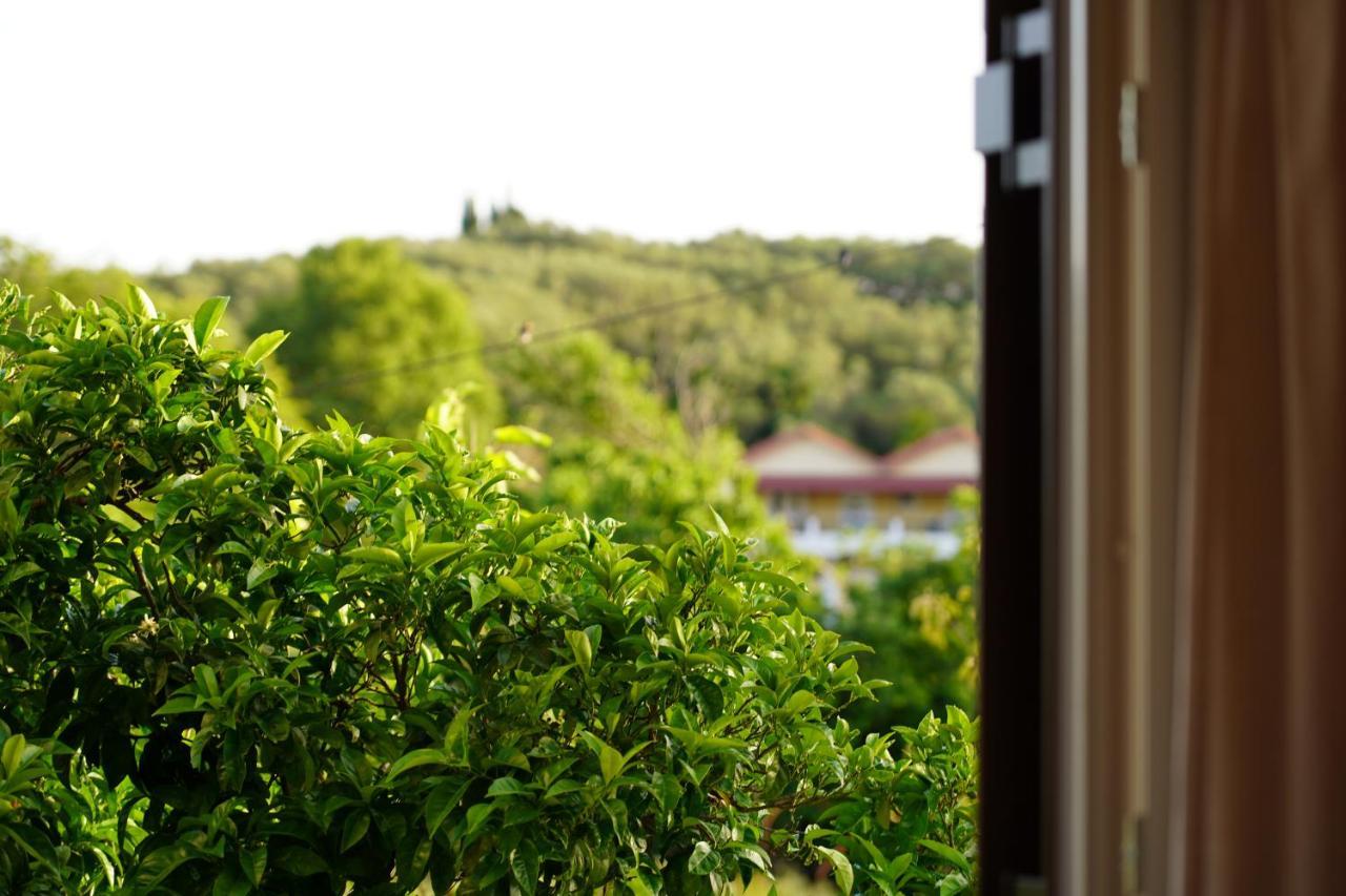 Apollo Apartment Parga