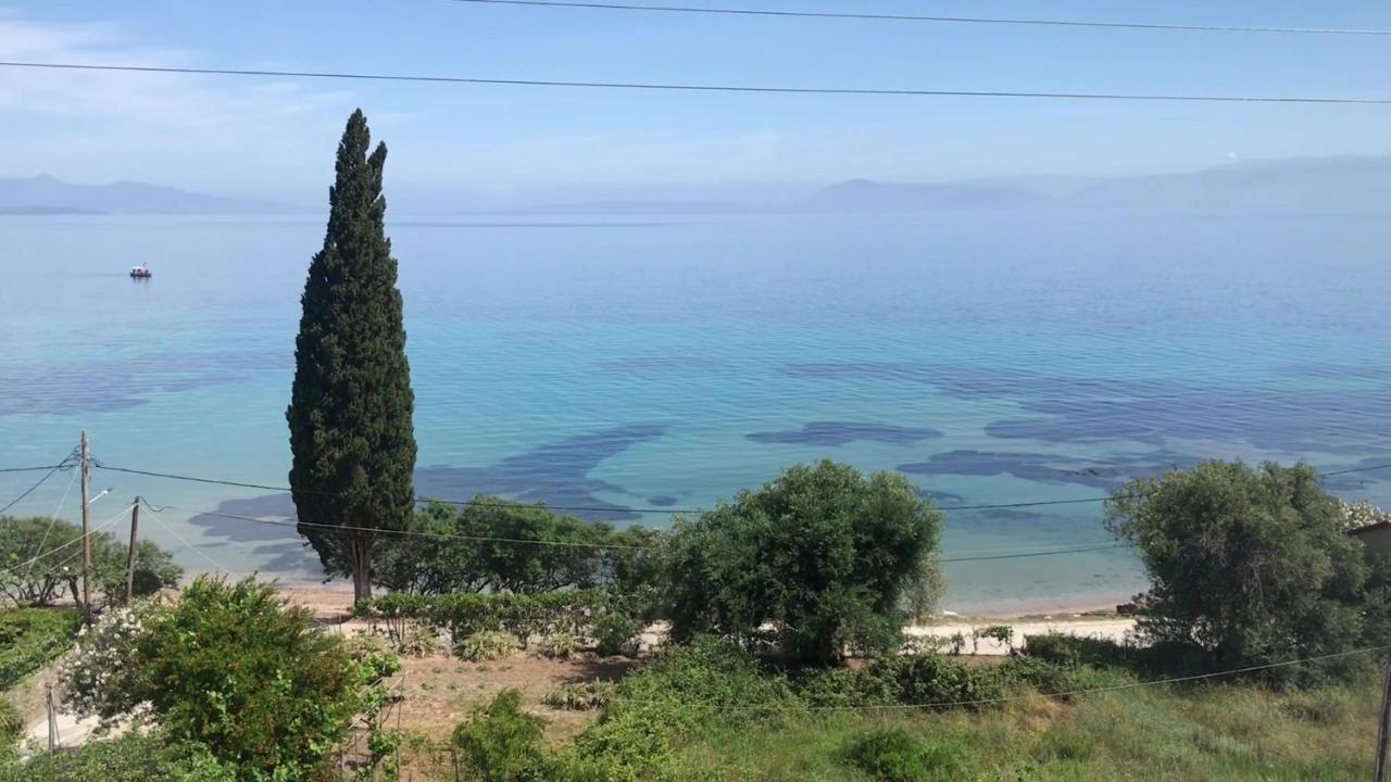 Aliki Studios