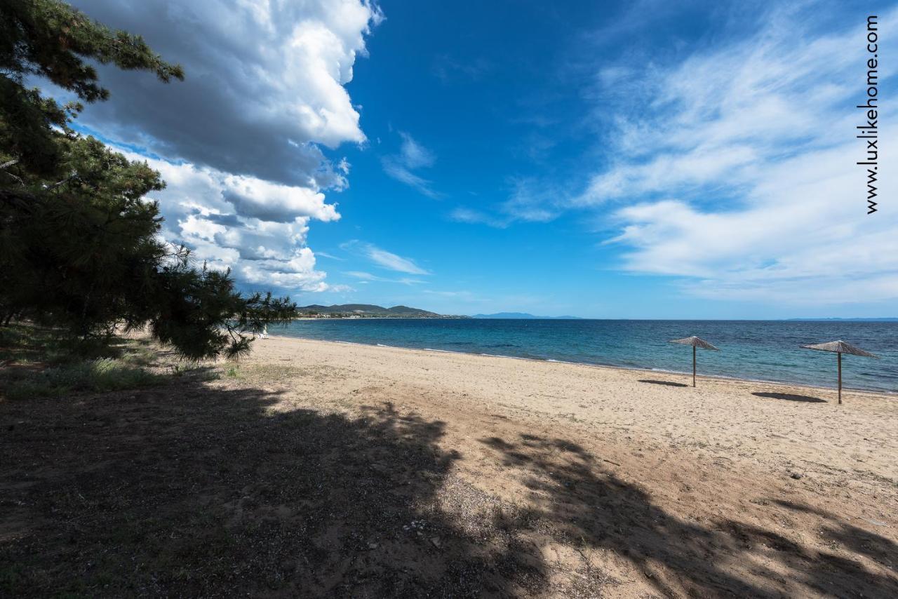 #luxlikehome - Mediterranee Beachfront Summer House * Kalyves Polygyrou