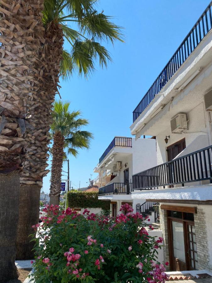 Tzogalis Kallithea (Chalkidiki)