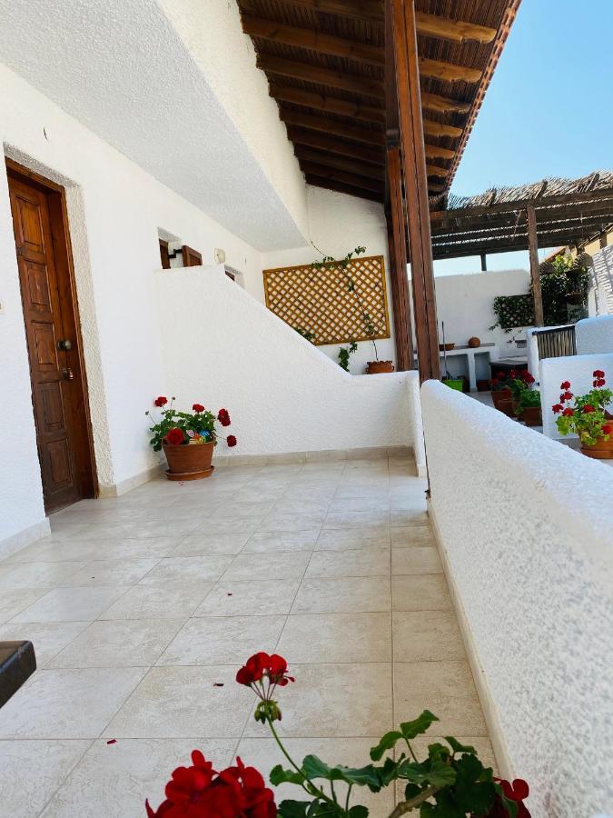 Apartment Tzogalis *