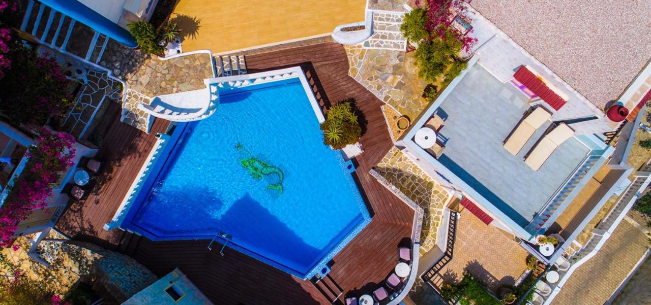 Campana Junior For Up To 8 Vacationers *
