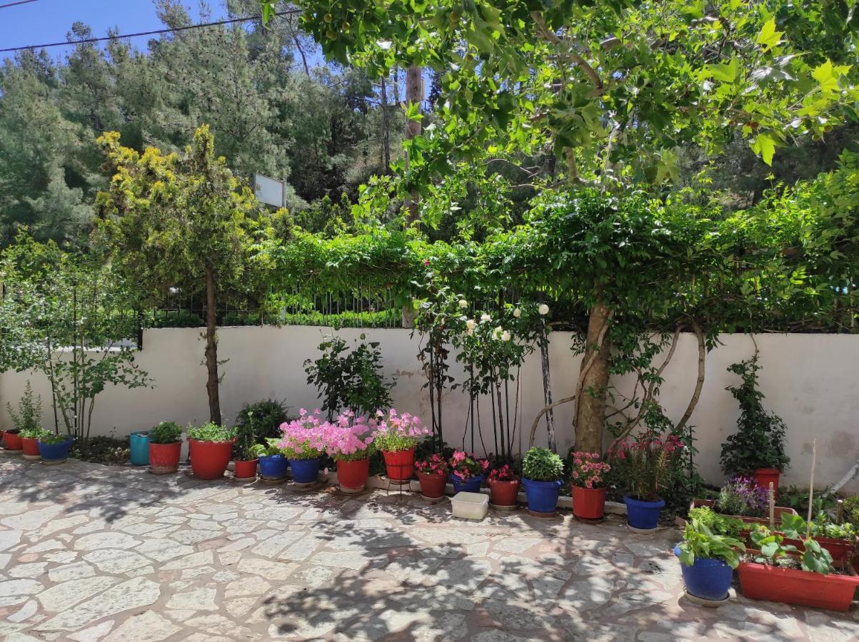 Casa Stella * Agia Triada (Thessaloniki)
