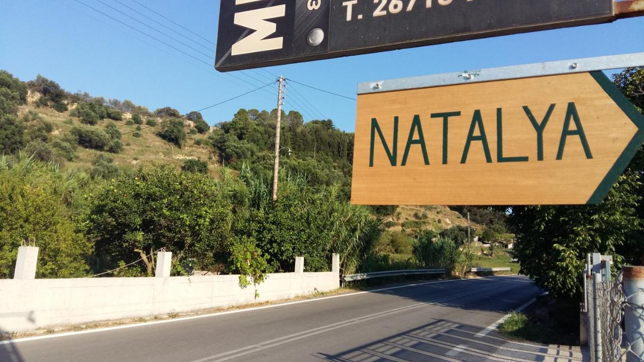 Natalya *