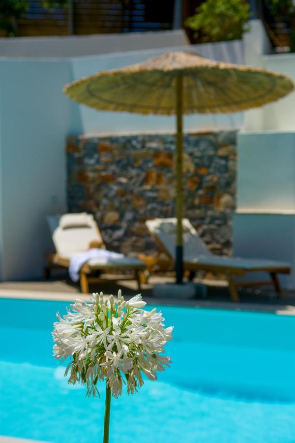 Pakio Luxury : Private Cretan Holidays * Milatos