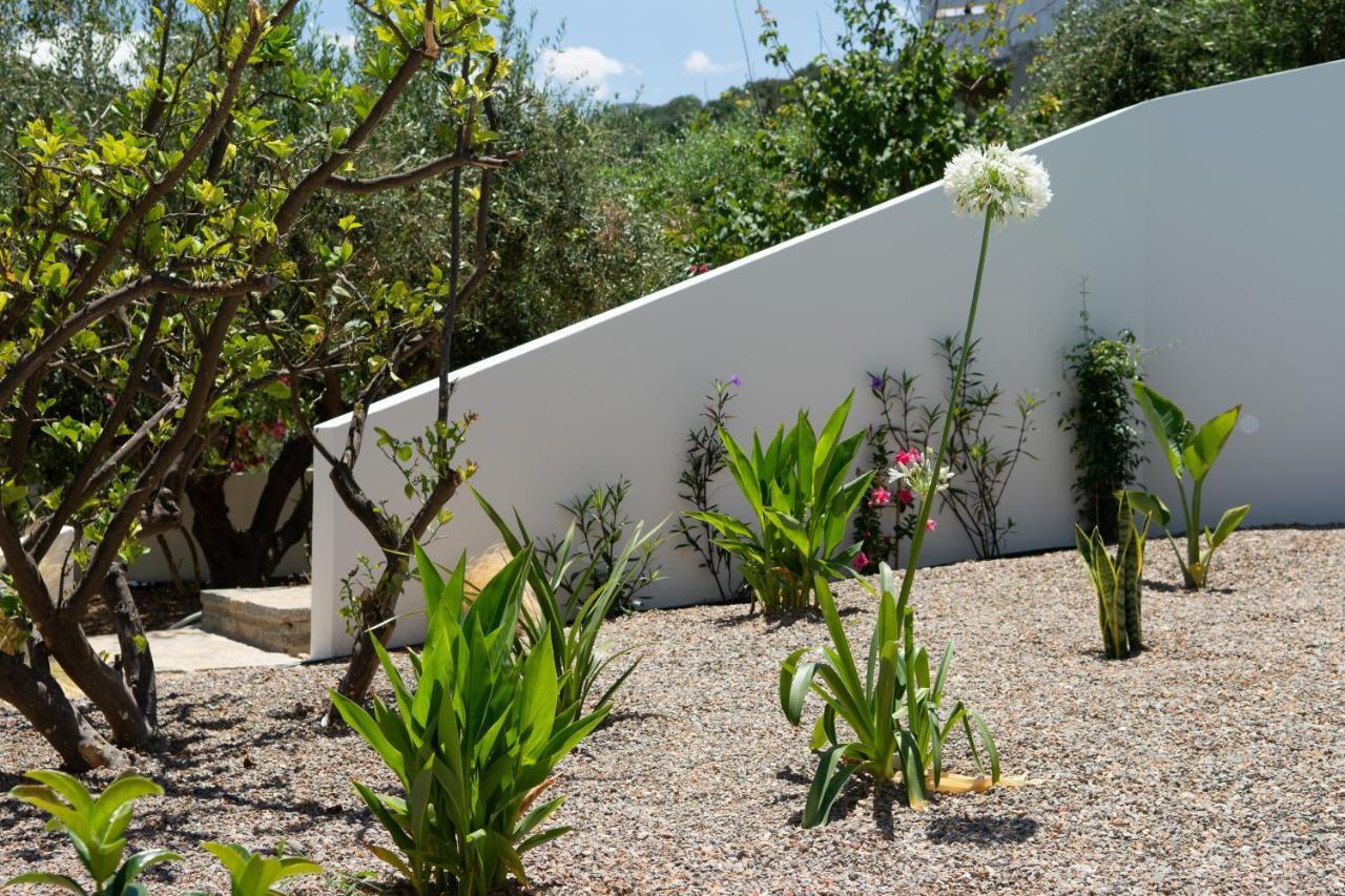 Pakio Luxury : Private Cretan Holidays Villa Milatos