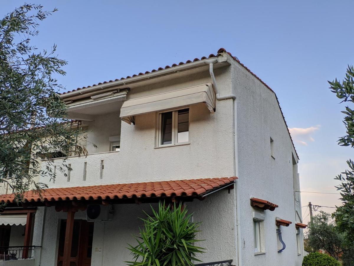 Casa Di Theo Palaiontsiflikion